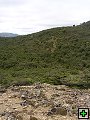 thn_NZ leden-unor 2006 173.jpg